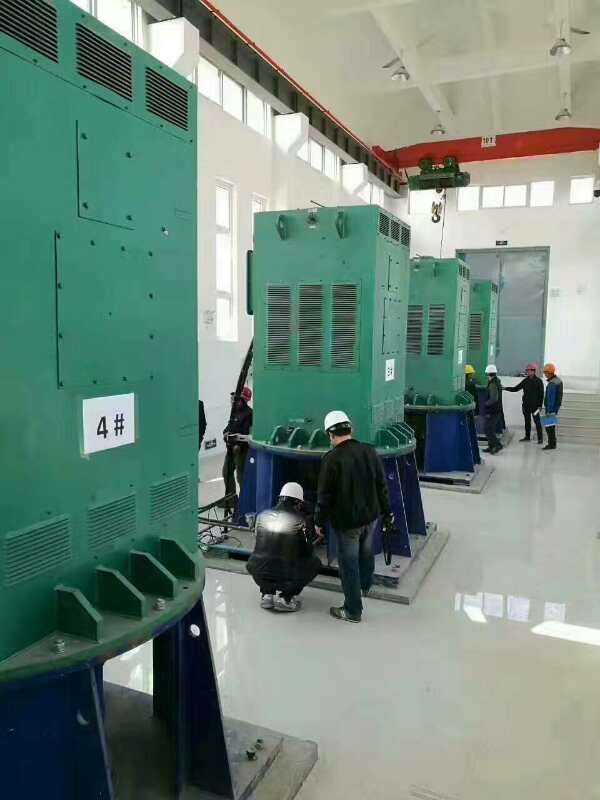 什玲镇某污水处理厂使用我厂的立式高压电机安装现场哪家好